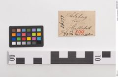 Etiketten zu Bronzegürtelblech (NHMW-PRAE-026377)